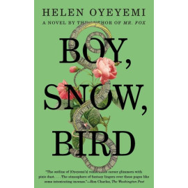 Boy, Snow, Bird