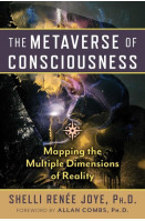 The Metaverse of Consciousness