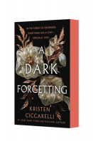 A Dark Forgetting