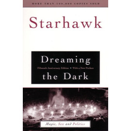 Dreaming the Dark