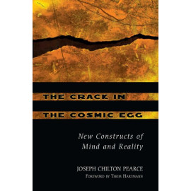 The Crack in the Cosmic Egg