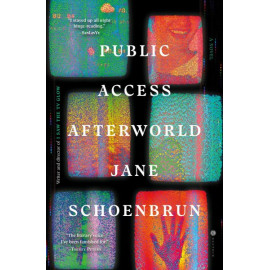 Public Access Afterworld